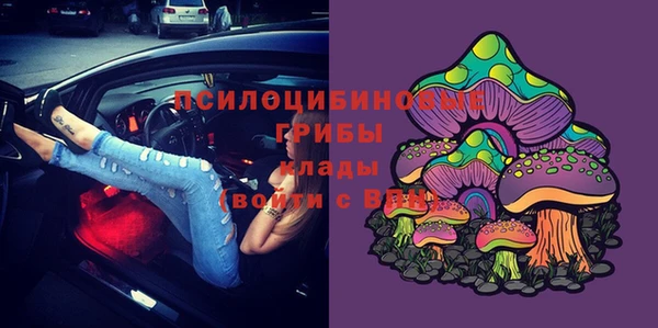 jwh Карпинск