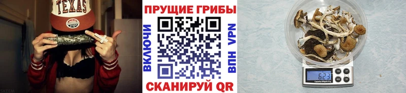 даркнет клад  Струнино  Псилоцибиновые грибы Magic Shrooms 